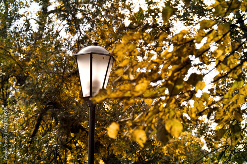 street lamp in the park