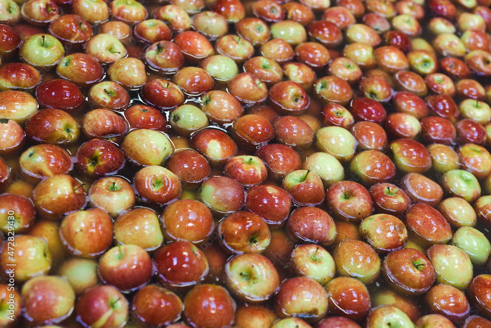 Clean and fresh apples on conveyor belt in food processing facility. Clean and fresh apples on conveyor belt in food processing facility.