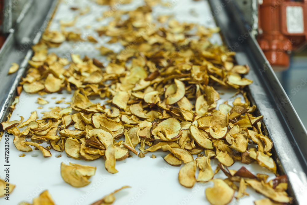 Sliced and dried apples on a conveyor belt in food processing facility