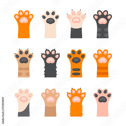 Cute Cats Paws Set on White Background. Vector