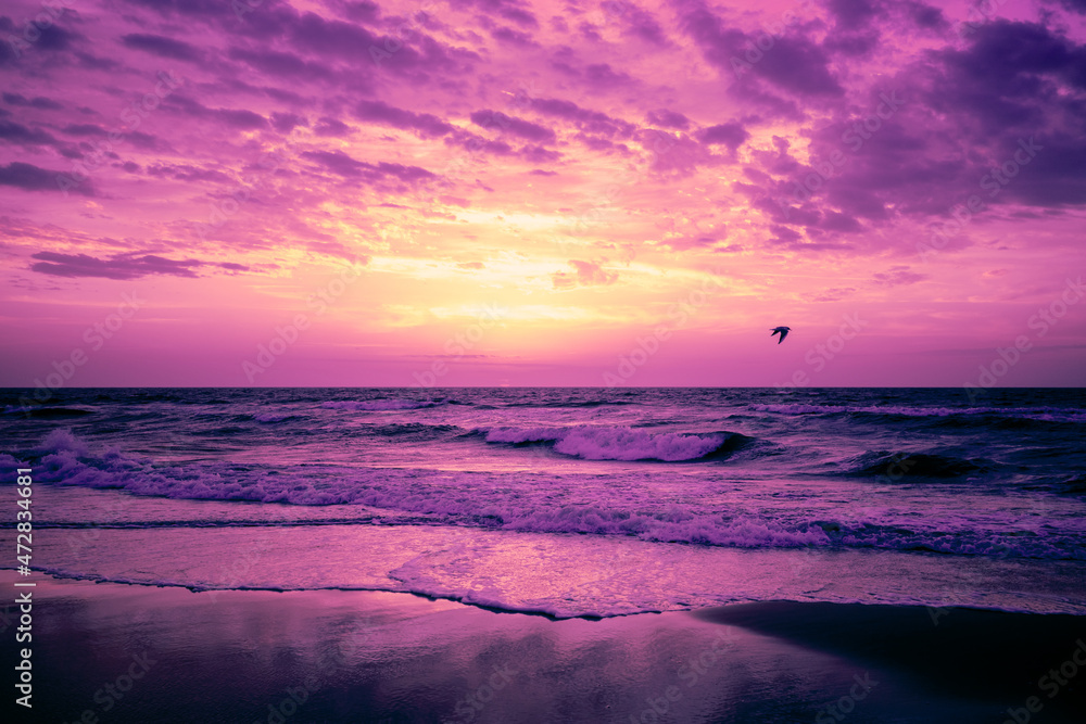 Seascape in the early morning. Sunrise over the sea. Nature landscape in trendy velvet violet color