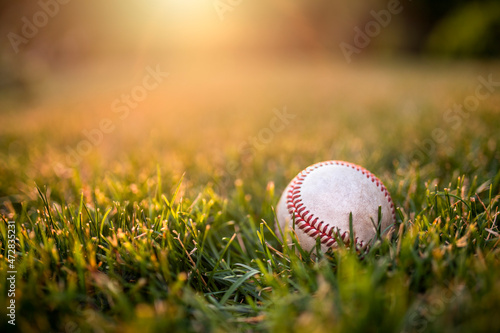 Canvas Print Ball of baseball on the lawn.