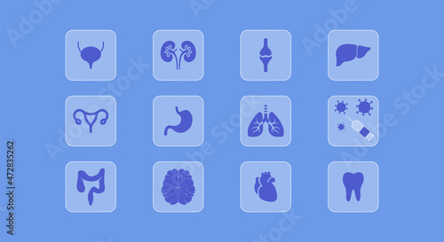 Medical icons set in glassmorphism style, human organs