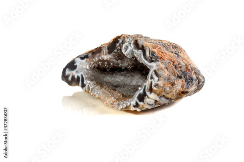 Macro mineral stone agate kidney gerbera on white background close up