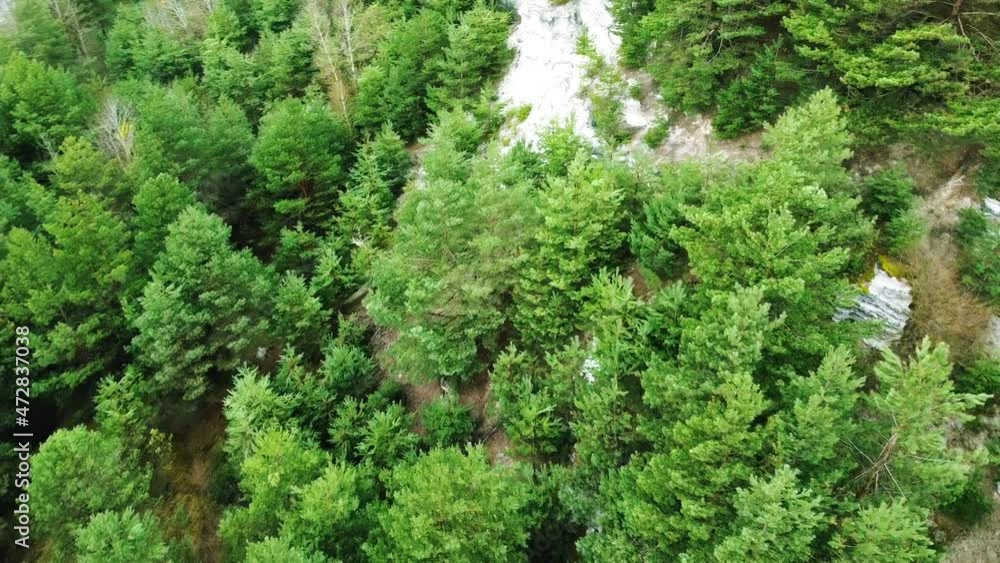 Beautiful view from height of the flight on mountains covered with pine trees, helicopter shooting Beautiful view from height of the flight on mountains covered with pine trees, helicopter shooting