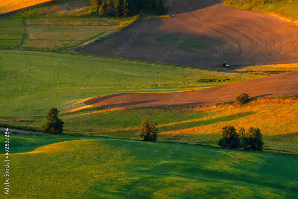 View of Steptoe Butte in the Palouse region, Washington state USA