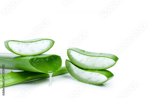 aloe vera leaf with slice