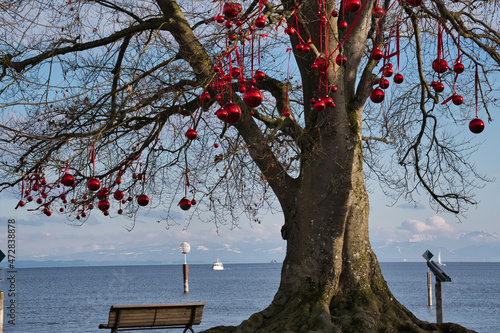 Photo Rote Christabumkugeln in einem Baum am Bodenseeufer