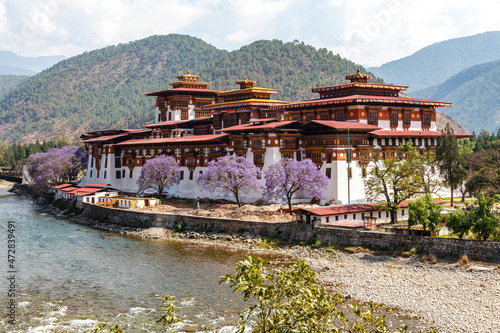 View at Punakha Dzong monastery and the landscape with the Mo Chhu river, Bhutan, Asia photo