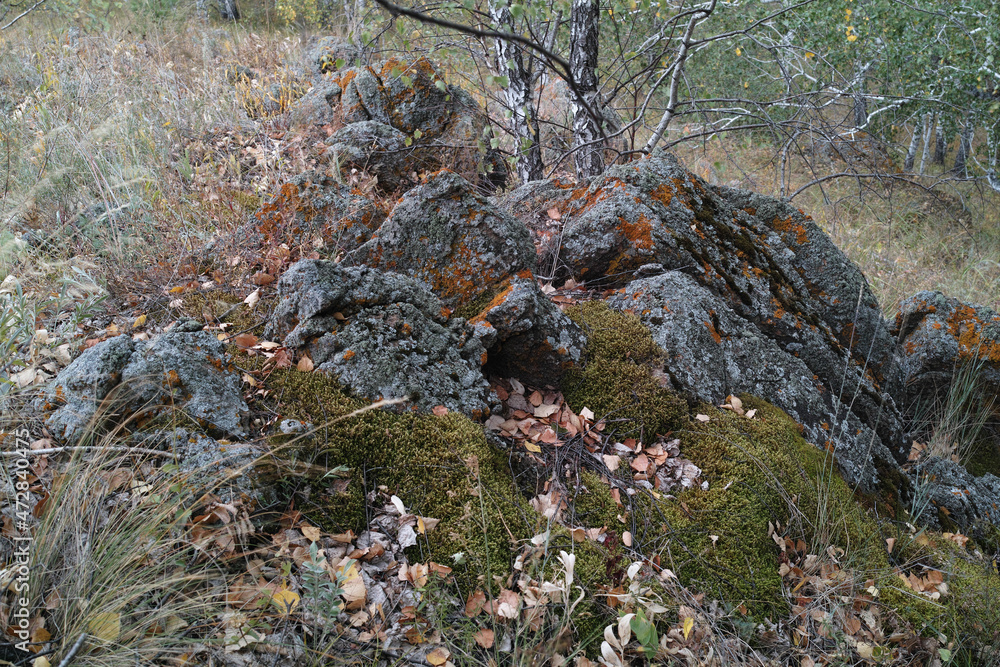 Pile of large stones covered with moss and lichen in the autumn forest. Pile of large stones covered with moss and lichen in the autumn forest.