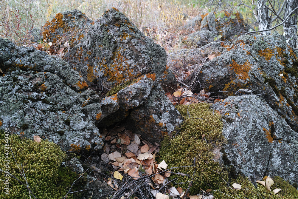Pile of large stones covered with moss and lichen in the autumn forest. Pile of large stones covered with moss and lichen in the autumn forest.