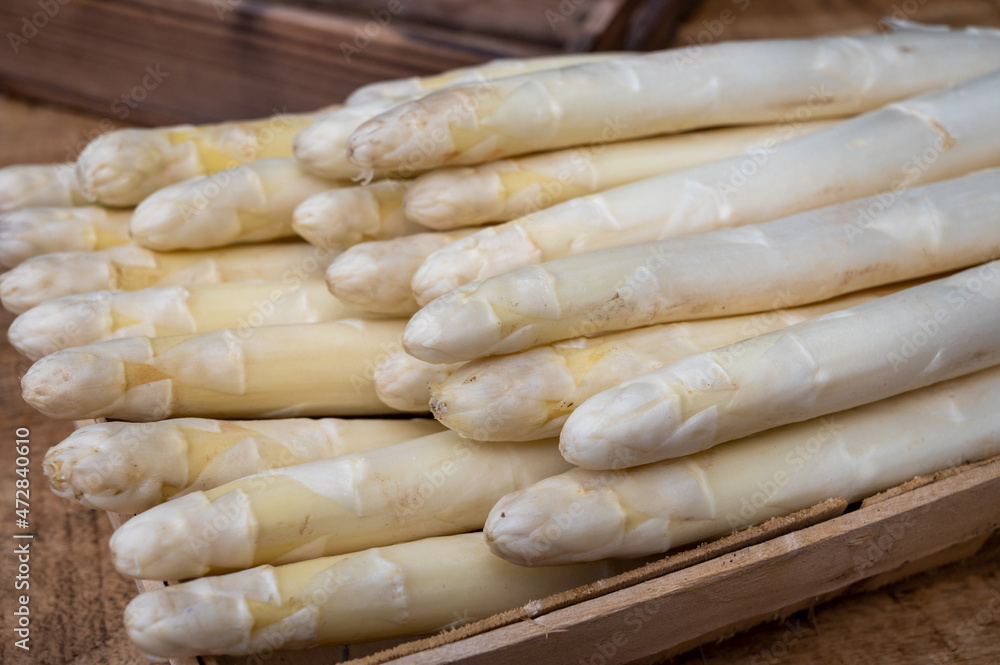 New harvest of ripe white asparagus vegetables ready to cook New harvest of ripe white asparagus vegetables ready to cook