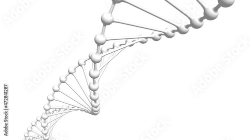 DNA二重らせんの3Dアニメーション（ループビデオ）