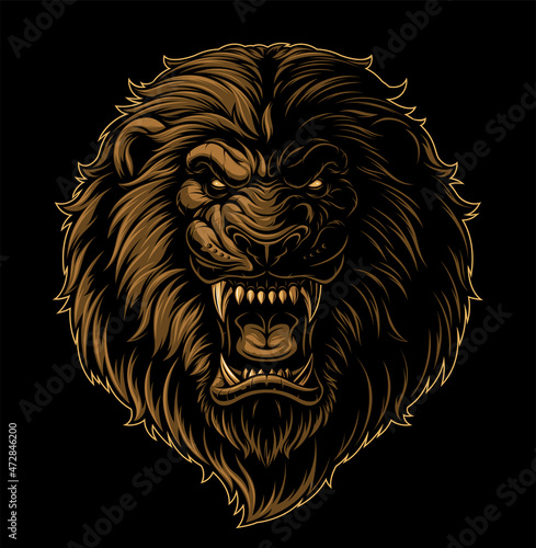 Vector illustration, a ferocious wild lion with an open mouth, growls