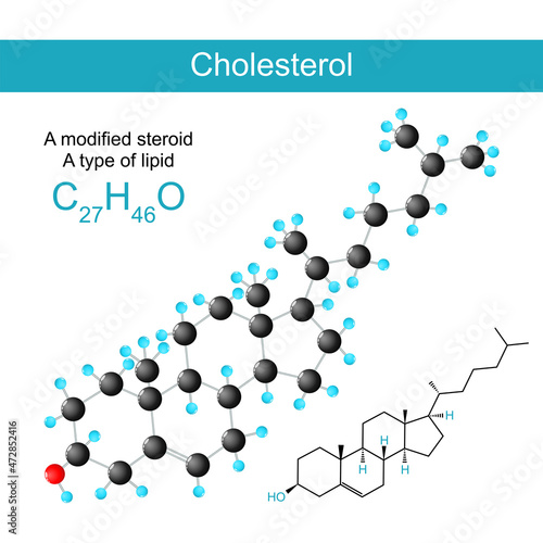 Cholesterol molecular chemical structural formula