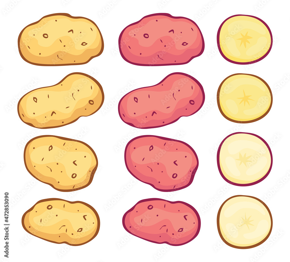 vector whole potatoes and potato cuts vector whole potatoes and potato cuts