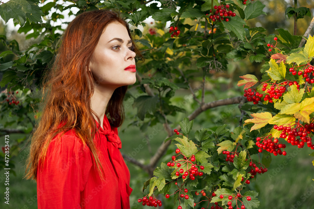 woman in red shirt near bush berries nature summer woman in red shirt near bush berries nature summer