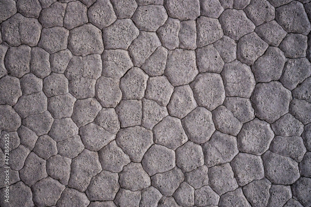 Cracked Surface Creates Polygon Shapes in The Racetrack Playa Surface ...