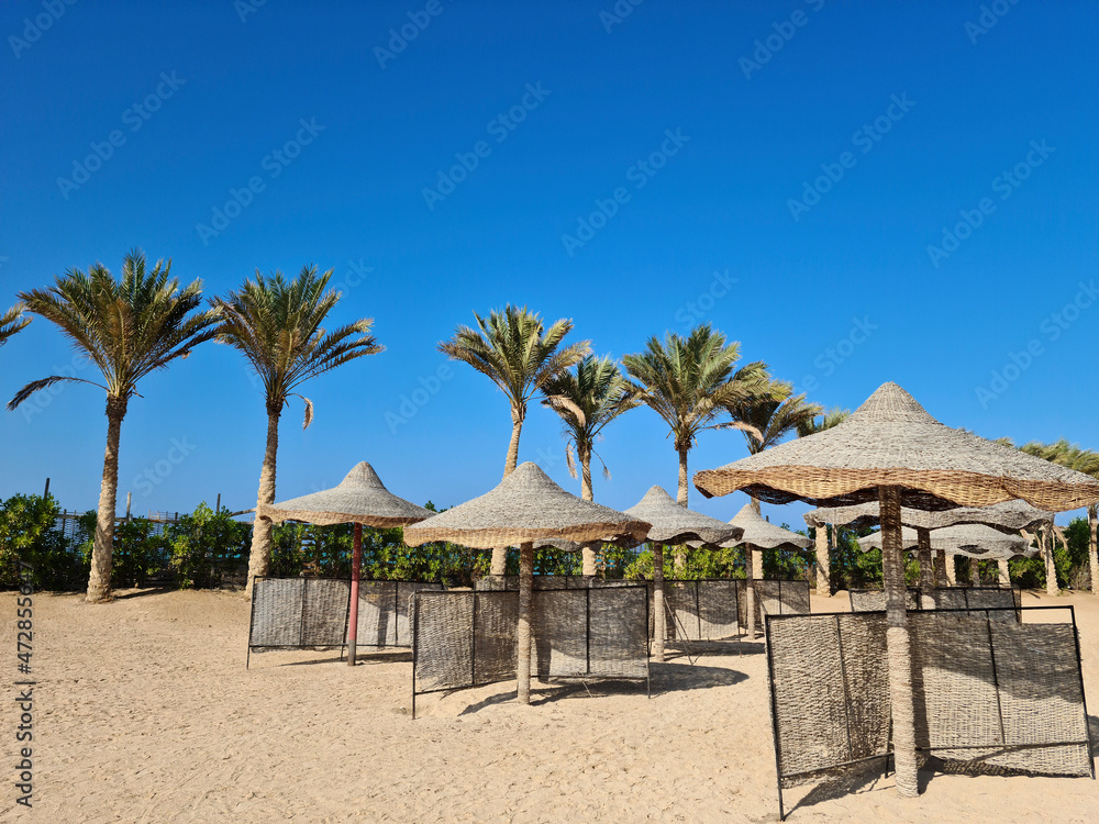 Beach, palm trees, sun umbrellas, separate recreation areas