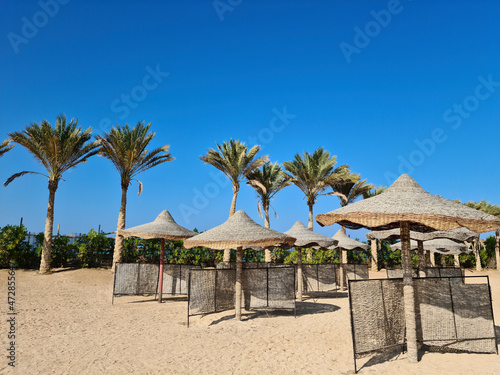 Beach, palm trees, sun umbrellas, separate recreation areas