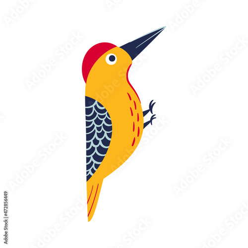 Bird vector illustration in cartoon style. Garden bright woodpecker.
