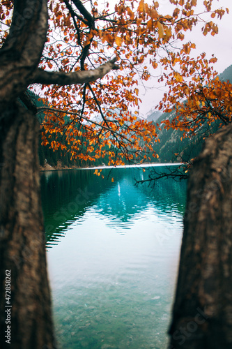 Lake Kolsay in late autumn, between the trees