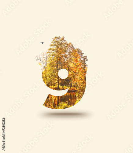 Number nine on the background of autumn nature.