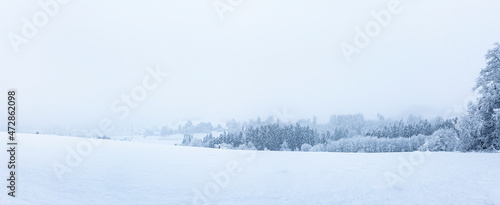 Märchenhaft verschneiter Tannewald an einem kalten Wintertag