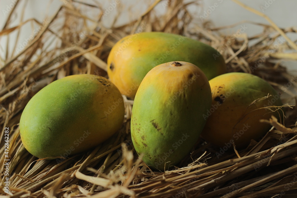 The Gir Kesar mango, also called Kesar, is a mango cultivar grown in the foothills of Girnar in Gujarat, western India. It is known for its bright orange coloured pulp.