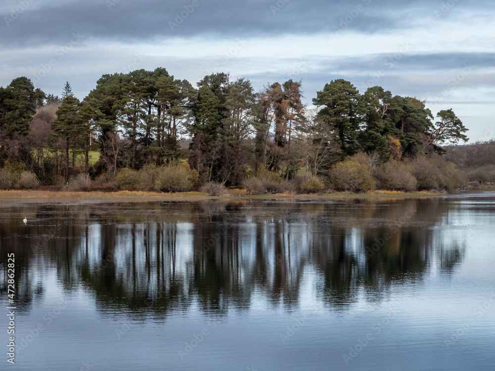 Tree Reflections at Vartry Reservoir in Late Autumn Tree Reflections at Vartry Reservoir in Late Autumn