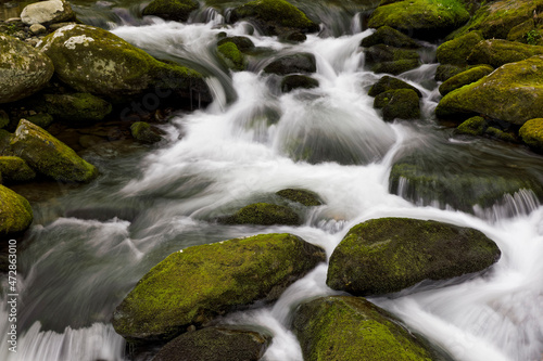 Moss covered boulders and flowing stream, Little Pigeon River, Great Smoky Mountains, National Park, Tennessee