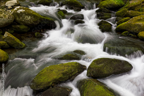 Moss covered boulders and flowing stream  Little Pigeon River  Great Smoky Mountains  National Park  Tennessee