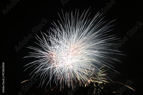 Wallpaper Mural 花火 Torontodigital.ca