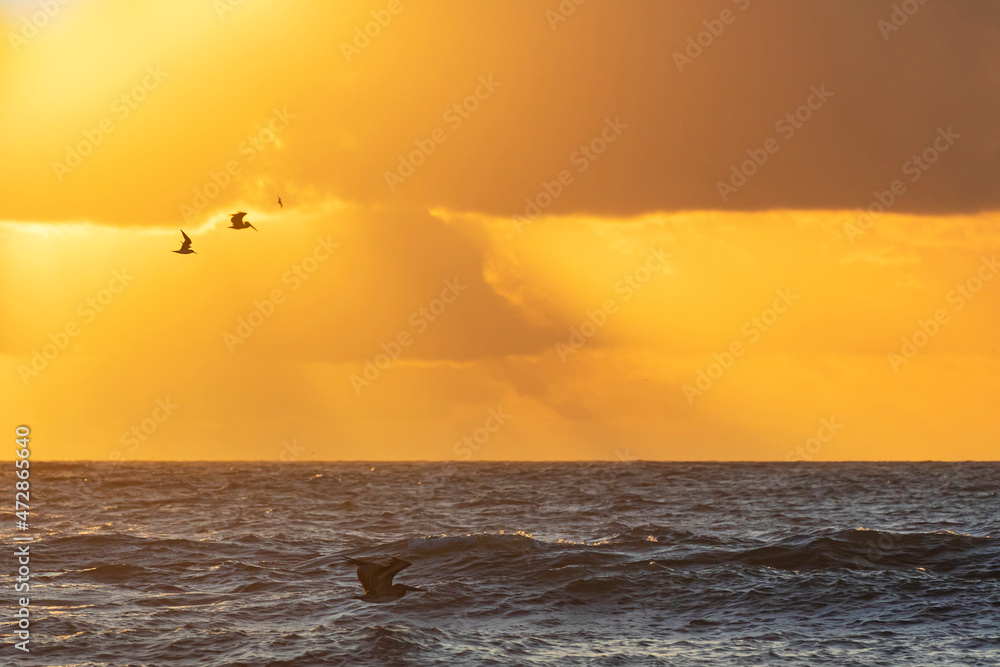 South Padre Island Sunrise over Gulf of Mexico