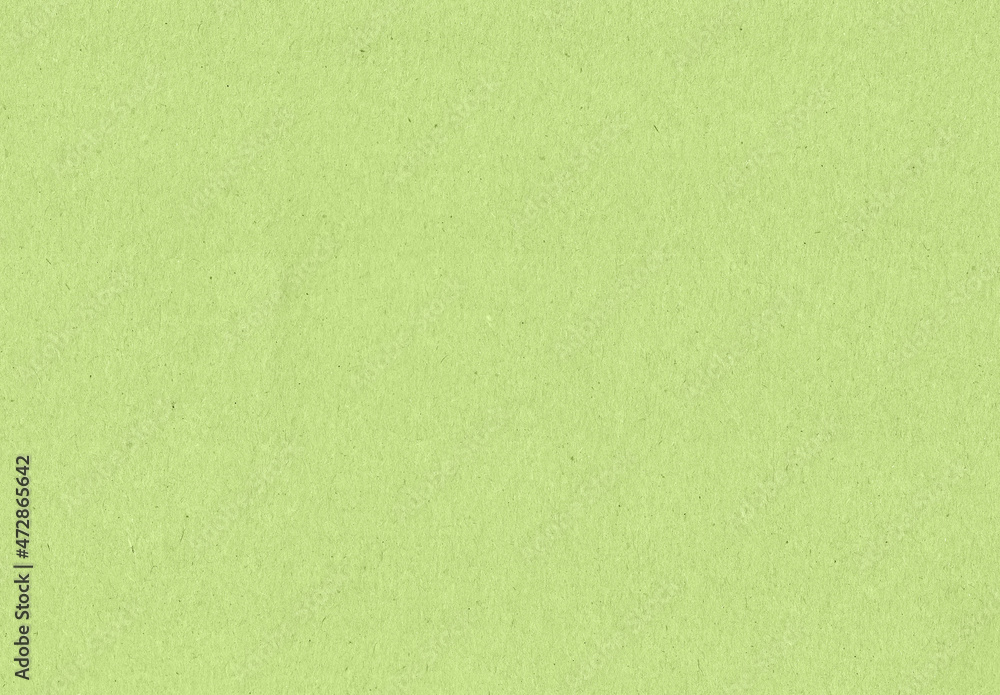 Obraz premium green paper texture