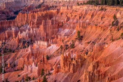 USA, Utah. Bryce Canyon National Park, spires called hoodoos rise above pastel ridges and valleys at dawn, view south from Sunrise Point.