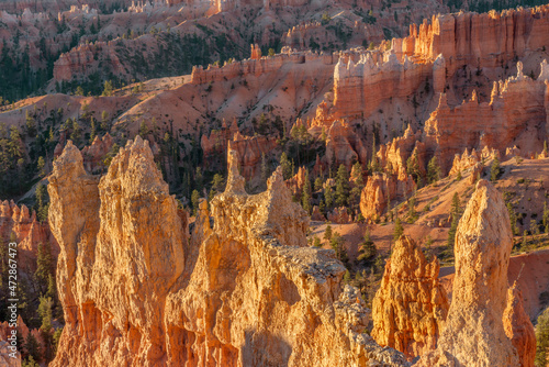 USA, Utah. Bryce Canyon National Park, Hoodoos rise above colorful ridges and valleys and scattered pine trees below Sunset Point.
