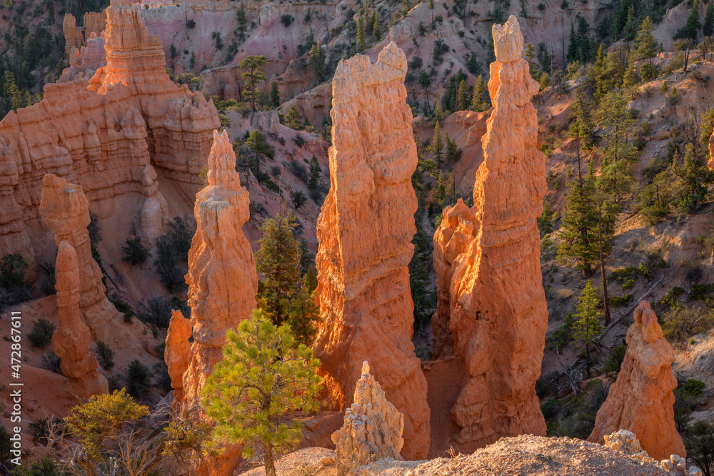 USA, Utah. Bryce Canyon National Park, colorful eroded hoodoos below Fairyland Point in early morning.