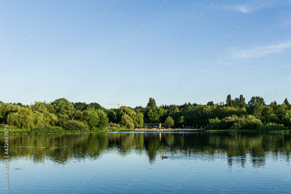 Crystal and turquoise water of the Trout Lake in Vancouver and green trees on the shore