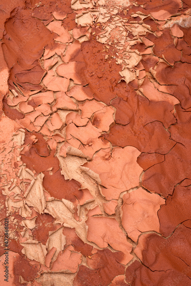 Fototapeta premium USA, Utah. Capitol Reef National Park, drying mud on floor of Grand Wash.