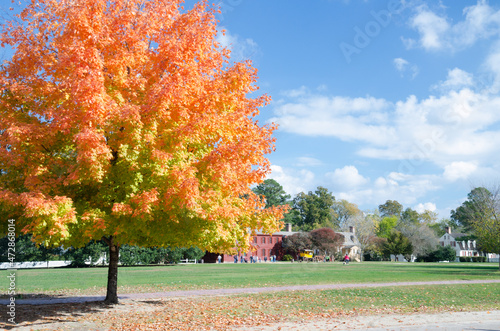 autumn in the colonial downtown 