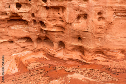 USA, Utah. Capitol Reef National Park, Numerous small openings called waterpockets are visible in the sandstone walls of Grand Wash.