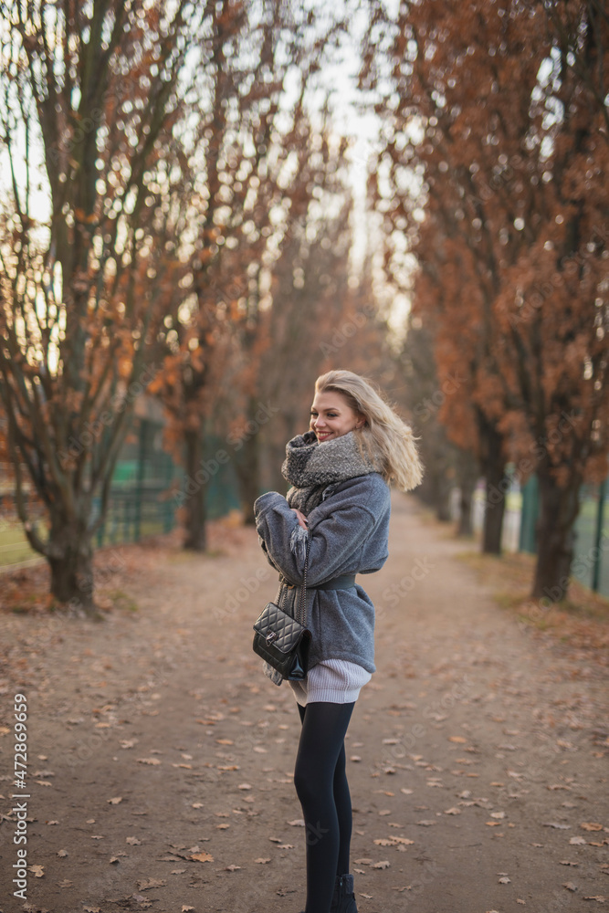 Wunderbare Schöne Frau mit Blondem Haar und Grauen Mantel in der Winter Zeit in Berlin Wunderbare Schöne Frau mit Blondem Haar und Grauen Mantel in der Winter Zeit in Berlin