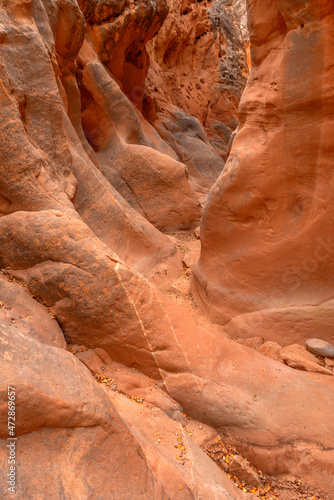 USA, Utah. Grand Staircase Escalante National Monument, Cottonwood Narrows displays colorful sandstone formation.