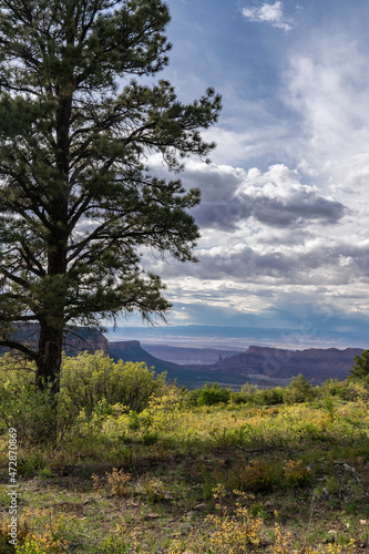 USA  Utah. Overlooking Castle Valley from the Manti-La Sal National Forest.