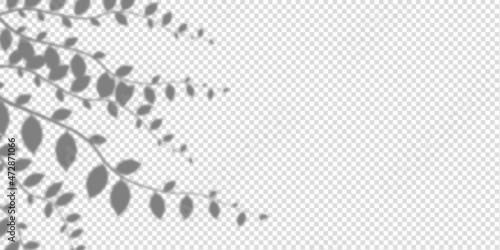 Shadow ivy and leaves mockup