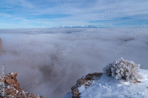 USA, Utah. Hoar frost covered rabbit brush and snow at the edge of canyon filled with fog, Island in the Sky, Canyonlands National Park. photo