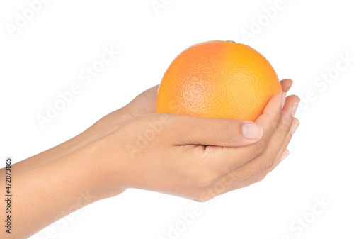 Hand holding Grapefruit isolated on white background.