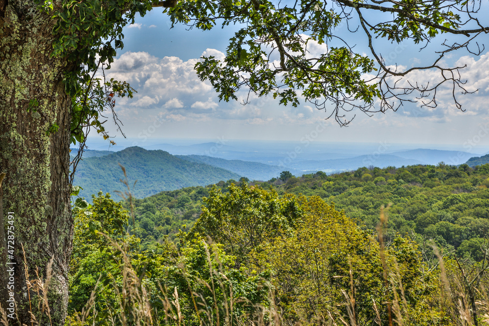 USA, Virginia, Shenandoah National Park, overlook at the park