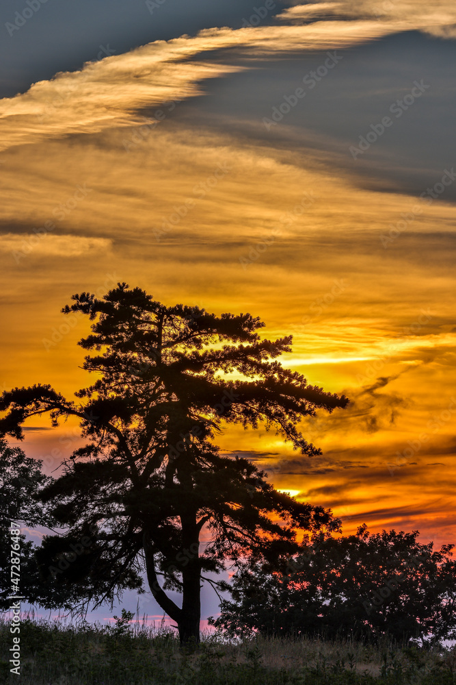 USA, Virginia, Shenandoah National Park, sunset at Rapidan Fire Road